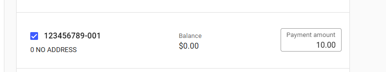 amount to pay portion of the Utility Access portal when making a one-time payment